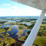 Safari de luxe dans le Delta de l'Okavango : une expérience unique en Afrique
