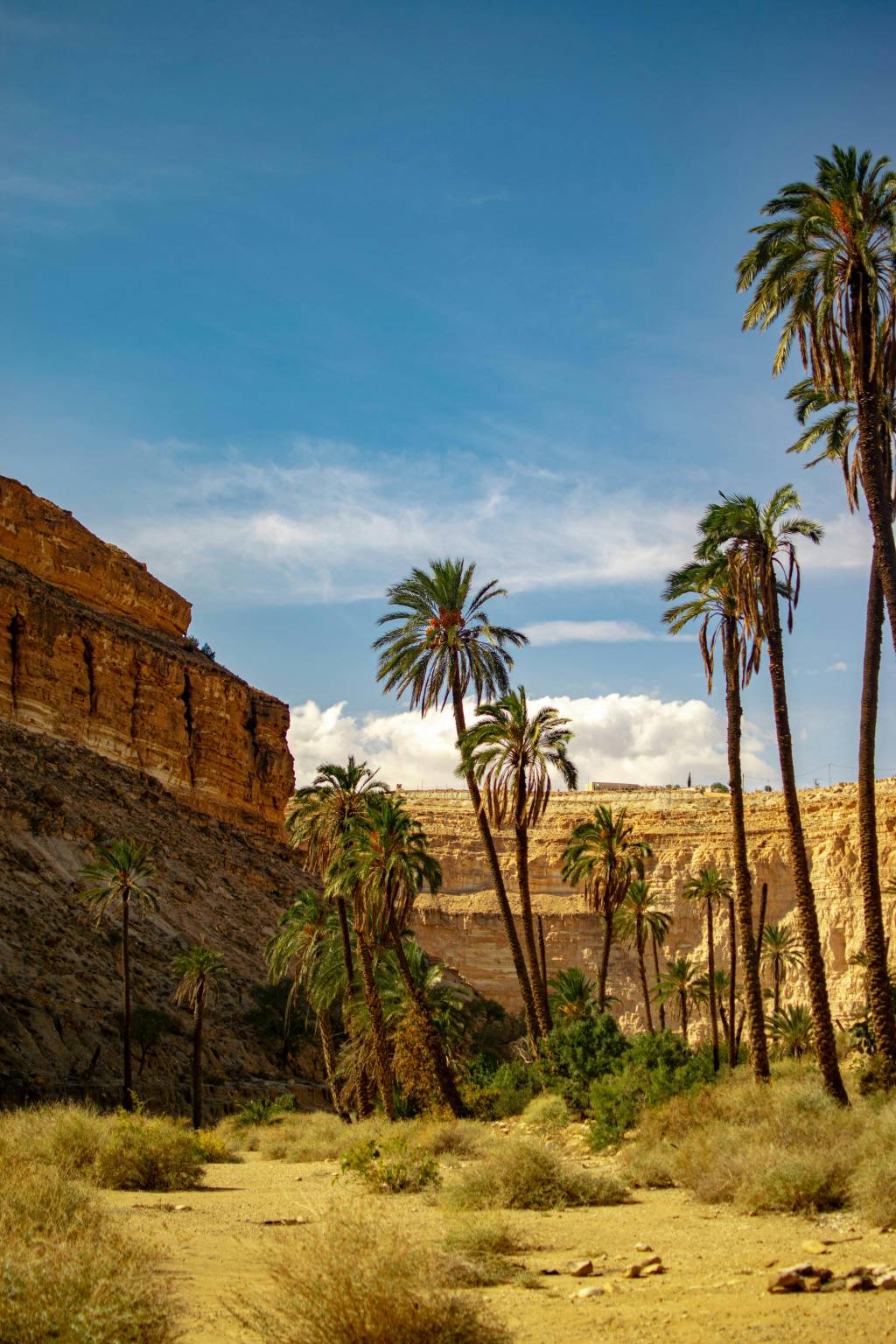 Conseils pratiques pour réussir son premier voyage en Algérie