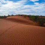 Comment se préparer à un voyage dans le désert du Kalahari