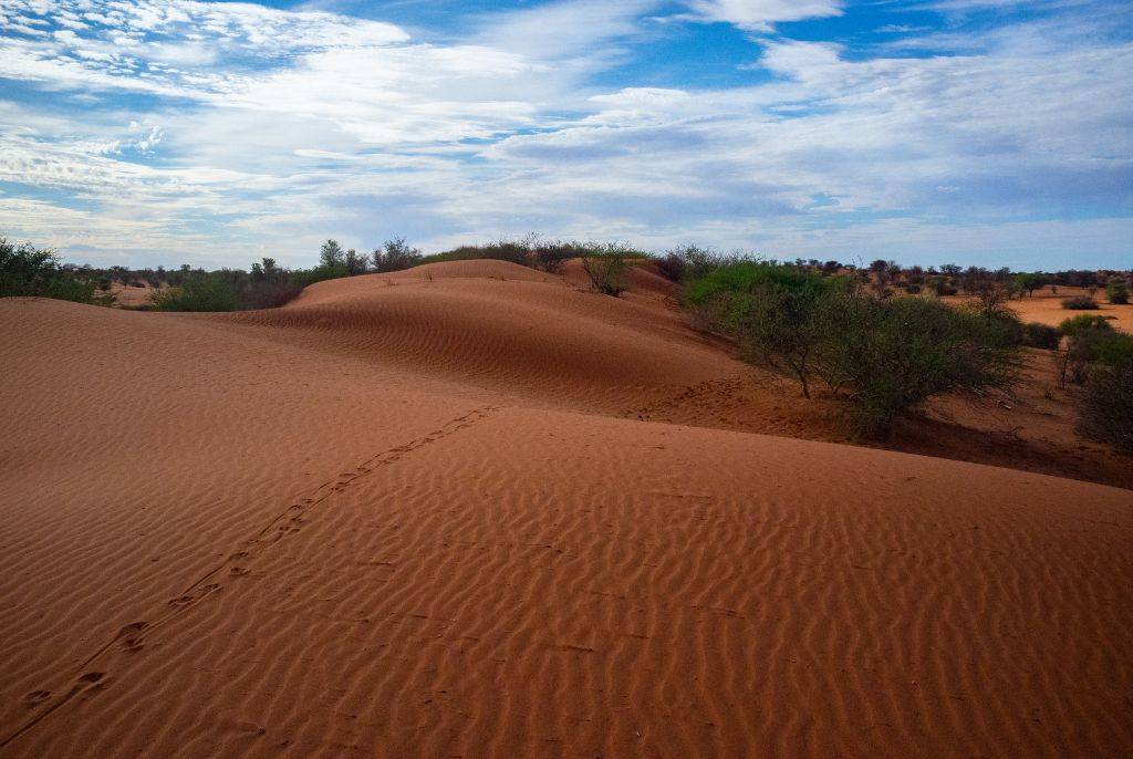 Comment se préparer à un voyage dans le désert du Kalahari