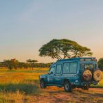 Safari en tanzanie : les avantages d’un accompagnement par des guides locaux