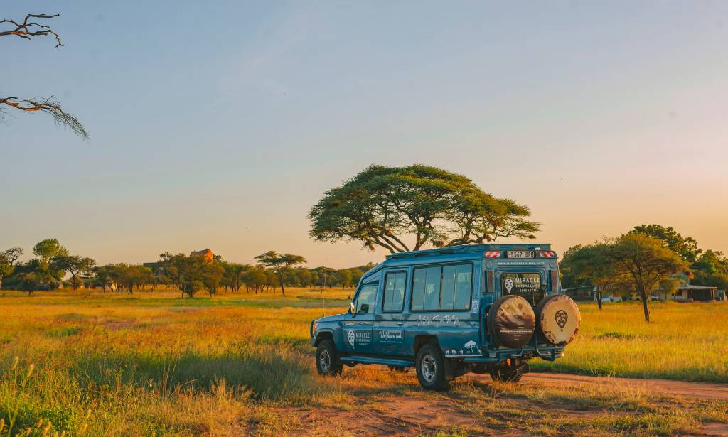 Safari en tanzanie : les avantages d’un accompagnement par des guides locaux